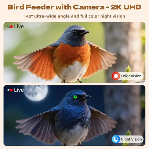 تغذية الطيور الذكية مع الكاميرا بالطاقة الشمسية التعرف على 10،000+ Bird 2K UHD Video Live Fruct Arrival تنبيهات واكتشاف الحركة في الوقت الفعلي للعشاق لعشاق الطيور في الهواء الطلق in Kuwait