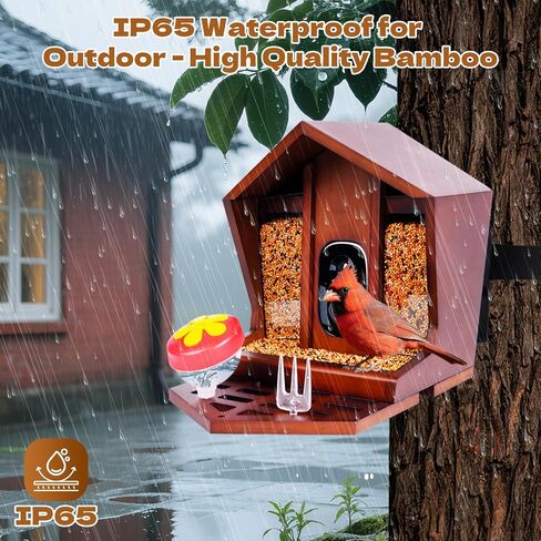 تغذية الطيور الذكية مع الكاميرا بالطاقة الشمسية التعرف على 10،000+ Bird 2K UHD Video Live Fruct Arrival تنبيهات واكتشاف الحركة في الوقت الفعلي للعشاق لعشاق الطيور في الهواء الطلق in Kuwait