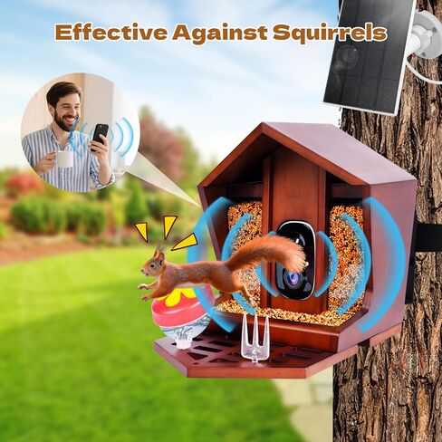 تغذية الطيور الذكية مع الكاميرا بالطاقة الشمسية التعرف على 10،000+ Bird 2K UHD Video Live Fruct Arrival تنبيهات واكتشاف الحركة في الوقت الفعلي للعشاق لعشاق الطيور في الهواء الطلق in Kuwait