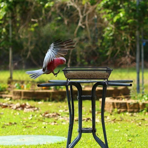 4 PCS RORTER BIRDER TRAY 6.9 × 6.9 × 2.2 بوصة ، صينية بذور منصة معدنية لمغذيات الطيور ، زخرفة ساحة الحديقة الرائعة للطيور البرية حمامة in Saudi Arabia