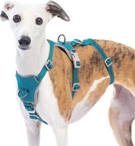Escape Proof Dog Sharness-لا سحب ، لا زلة ، عاكسة تمامًا ، قابلة للتعديل من 7 نقاط للكلاب الصغيرة والمتوسطة والكبيرة-خفيفة الوزن للتدريب في الهواء الطلق والمشي لمسافات طويلة (Teal ، M) in Kuwait