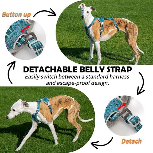 Escape Proof Dog Sharness-لا سحب ، لا زلة ، عاكسة تمامًا ، قابلة للتعديل من 7 نقاط للكلاب الصغيرة والمتوسطة والكبيرة-خفيفة الوزن للتدريب في الهواء الطلق والمشي لمسافات طويلة (Teal ، M) in Kuwait