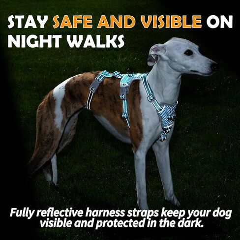 Escape Proof Dog Sharness-لا سحب ، لا زلة ، عاكسة تمامًا ، قابلة للتعديل من 7 نقاط للكلاب الصغيرة والمتوسطة والكبيرة-خفيفة الوزن للتدريب في الهواء الطلق والمشي لمسافات طويلة (Teal ، M) in Kuwait