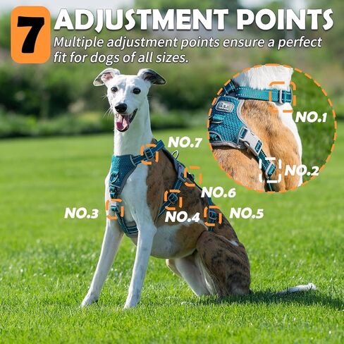 Escape Proof Dog Sharness-لا سحب ، لا زلة ، عاكسة تمامًا ، قابلة للتعديل من 7 نقاط للكلاب الصغيرة والمتوسطة والكبيرة-خفيفة الوزن للتدريب في الهواء الطلق والمشي لمسافات طويلة (Teal ، M) in Kuwait