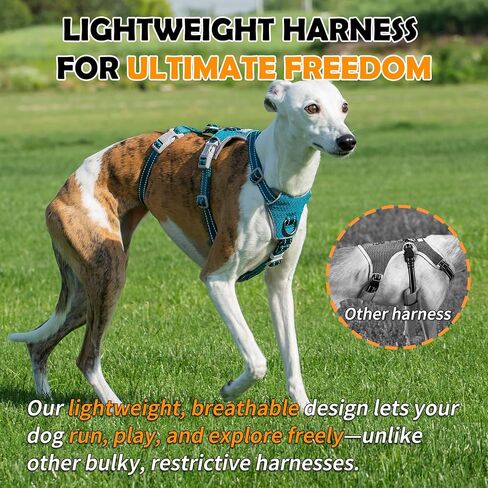 Escape Proof Dog Sharness-لا سحب ، لا زلة ، عاكسة تمامًا ، قابلة للتعديل من 7 نقاط للكلاب الصغيرة والمتوسطة والكبيرة-خفيفة الوزن للتدريب في الهواء الطلق والمشي لمسافات طويلة (Teal ، M) in Kuwait