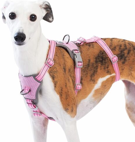 Escape Proof Dog Sharness-لا سحب ، لا زلة ، عاكسة تمامًا ، قابلة للتعديل من 7 نقاط للكلاب الصغيرة والمتوسطة والكبيرة-خفيفة الوزن للتدريب في الهواء الطلق والمشي لمسافات طويلة (Teal ، M) in Kuwait