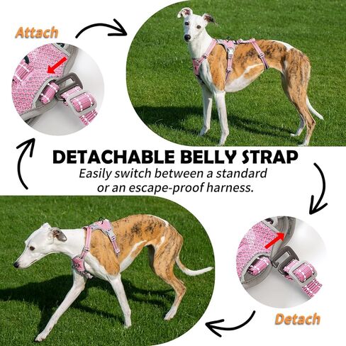 Escape Proof Dog Sharness-لا سحب ، لا زلة ، عاكسة تمامًا ، قابلة للتعديل من 7 نقاط للكلاب الصغيرة والمتوسطة والكبيرة-خفيفة الوزن للتدريب في الهواء الطلق والمشي لمسافات طويلة (Teal ، M) in Kuwait