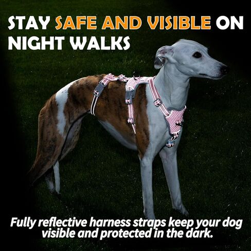 Escape Proof Dog Sharness-لا سحب ، لا زلة ، عاكسة تمامًا ، قابلة للتعديل من 7 نقاط للكلاب الصغيرة والمتوسطة والكبيرة-خفيفة الوزن للتدريب في الهواء الطلق والمشي لمسافات طويلة (Teal ، M) in Kuwait