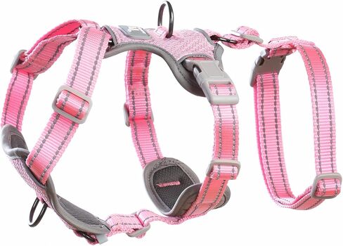 Escape Proof Dog Sharness-لا سحب ، لا زلة ، عاكسة تمامًا ، قابلة للتعديل من 7 نقاط للكلاب الصغيرة والمتوسطة والكبيرة-خفيفة الوزن للتدريب في الهواء الطلق والمشي لمسافات طويلة (Teal ، M) in Kuwait