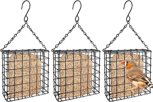 Pinvnby 3 PCS Suet Bird Feeder Metal Black Tuet Leachers for Outsiding Hanging Bild Bird Teeder مع سعة كعكة شحم سلسلة خطاف لبطولة ساحة الحديقة in Saudi Arabia