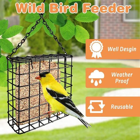 Pinvnby 3 PCS Suet Bird Feeder Metal Black Tuet Leachers for Outsiding Hanging Bild Bird Teeder مع سعة كعكة شحم سلسلة خطاف لبطولة ساحة الحديقة in Saudi Arabia