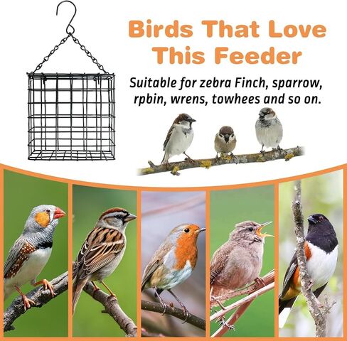Pinvnby 3 PCS Suet Bird Feeder Metal Black Tuet Leachers for Outsiding Hanging Bild Bird Teeder مع سعة كعكة شحم سلسلة خطاف لبطولة ساحة الحديقة in Saudi Arabia