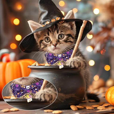 2pcs Halloween Cat Cat with Bow Tie & Bell ، Flowaway Fall Fall Spooky Hitten Powtie for small kitty and dogs festive pet escorby (Pumpkin & Ghost Pattern) in Kuwait