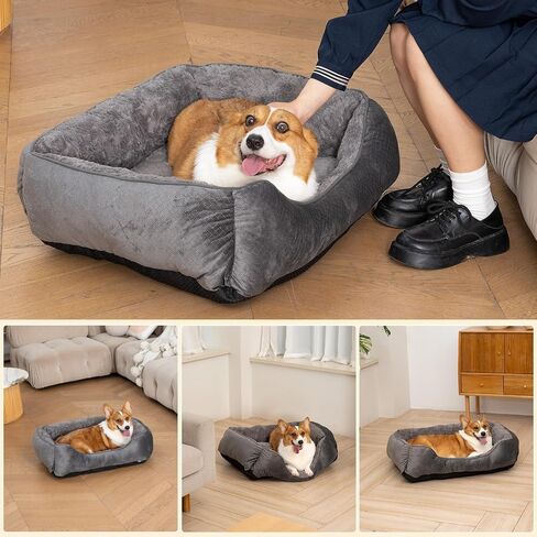 Dog Bed for Small Dogs Washable, Super Soft Durable Cat Bed, Warming Soft Calming Puppy Bed Pet Bed with Anti-Slip Bottom, Grey, 20 x 19 x 6inch in Saudi Arabia