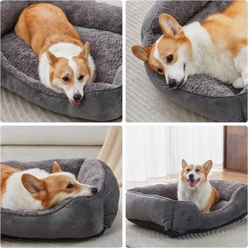 Dog Bed for Small Dogs Washable, Super Soft Durable Cat Bed, Warming Soft Calming Puppy Bed Pet Bed with Anti-Slip Bottom, Grey, 20 x 19 x 6inch in Saudi Arabia