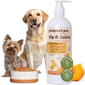 مكملات الورك والمفصل للكلاب - الجلوكوزامين مع شوندروتن قائم على النباتات ، MSM & Pumpkin - مكملات الكلاب المتقدمة للمفاصل للسلالات الكبيرة والصغيرة - الولايات المتحدة الأمريكية صنعت 16 أوقية in Kuwait