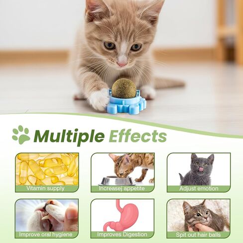 Catnip Toys 4 Pack Catnip Balls Catnip Wall Ball 360° Rotatable Chewing Teeth Cleaning Edible Cat Interactive Toys Indoor Play with Cats Wall Anxiety Relief Cat Chew Ball in Saudi Arabia