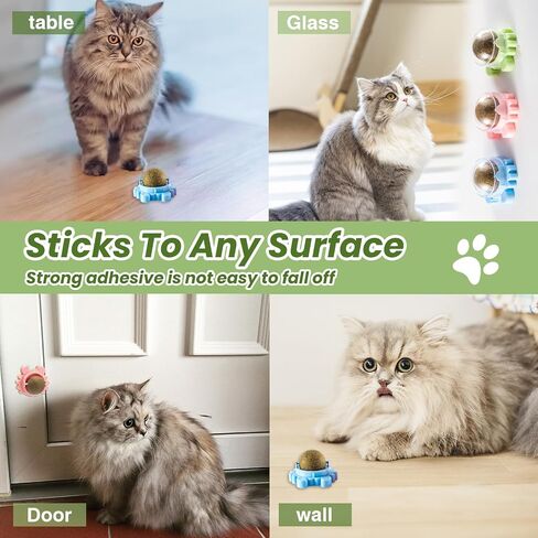 Catnip Toys 4 Pack Catnip Balls Catnip Wall Ball 360° Rotatable Chewing Teeth Cleaning Edible Cat Interactive Toys Indoor Play with Cats Wall Anxiety Relief Cat Chew Ball in Saudi Arabia