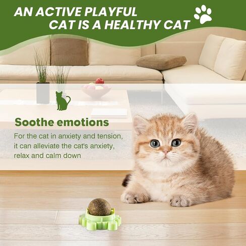 Catnip Toys 4 Pack Catnip Balls Catnip Wall Ball 360° Rotatable Chewing Teeth Cleaning Edible Cat Interactive Toys Indoor Play with Cats Wall Anxiety Relief Cat Chew Ball in Saudi Arabia