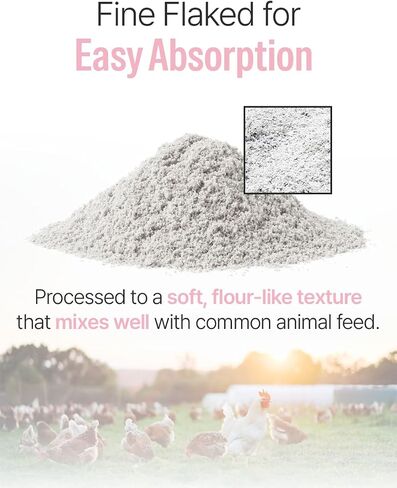 NICE WITCH'S Oyster Shell Flour 1.1 lb (500 g) – Finely Ground Calcium for Chickens, Ducks, Birds, Reptiles, Amphibians & More – Natural Source of Calcium | Korean Oyster Shell Powder/굴껍질 가루 in Saudi Arabia