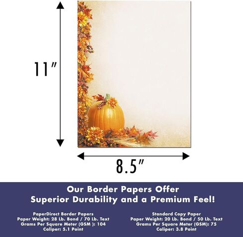 PaperDirect Auburn Delight يترك التوت النحاس خريف الخريف خريف الشكر قرطاسية الورق ، ورق الحدود ، الرأي in Kuwait