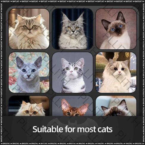 2Pack Upgraded Cat Bat Mask - Funny Bat Mask for Cats with Adjustable Strap, Pet Apparel Accessory for Cosplay Party, Feline Halloween Costume for Cats in Saudi Arabia