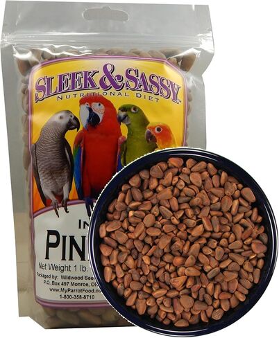 SLEEK & SASSY in-Shell Pine Nuts for Birds (16 oz.) in Saudi Arabia
