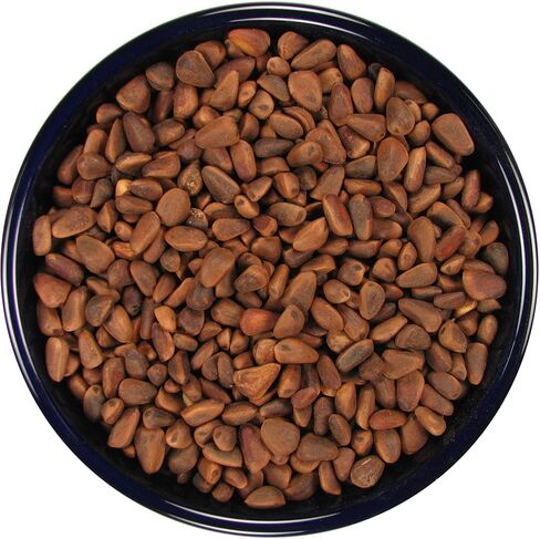 SLEEK & SASSY in-Shell Pine Nuts for Birds (16 oz.) in Saudi Arabia