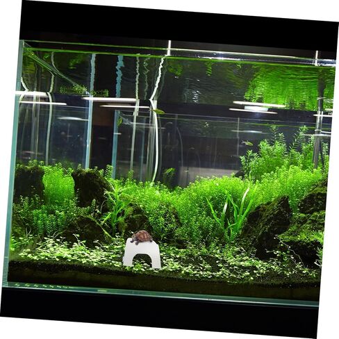 Merryhapapy Turtle Basking Platform Ramp reptile Stand للسلحفاة والحيوانات الأليفة المائية لحدائق السمك وغرف المعيشة سهلة التسلق وتخزين مريح in Kuwait