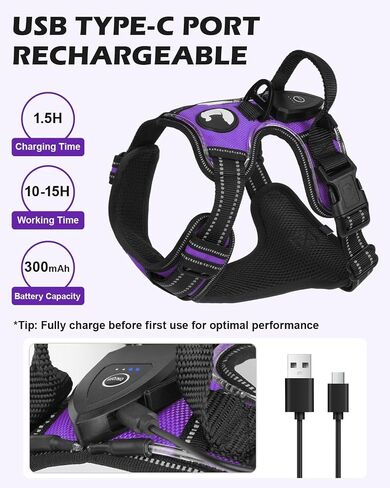 Joytale Light Up Dog Harness, No Pull Dog Harness USB Rechargeable for Night Walking with 3 Lightning Modes and Soft Handle, Adjustable Reflective Lighted Safety Vest,Green, M in Saudi Arabia