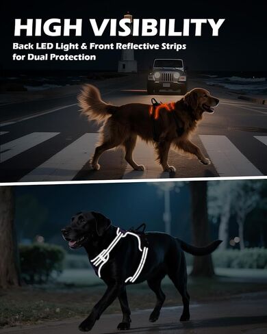 Joytale Light Up Dog Harness, No Pull Dog Harness USB Rechargeable for Night Walking with 3 Lightning Modes and Soft Handle, Adjustable Reflective Lighted Safety Vest,Green, M in Saudi Arabia