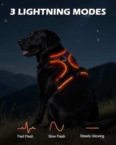 Joytale Light Up Dog Harness, No Pull Dog Harness USB Rechargeable for Night Walking with 3 Lightning Modes and Soft Handle, Adjustable Reflective Lighted Safety Vest,Green, M in Saudi Arabia