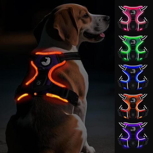 Joytale Light Up Dog Harness, No Pull Dog Harness USB Rechargeable for Night Walking with 3 Lightning Modes and Soft Handle, Adjustable Reflective Lighted Safety Vest,Green, M in Saudi Arabia