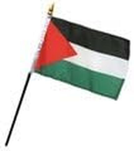 4 × 6 بوصة فلسطين مصغرة العلم العلم العلم in Saudi Arabia