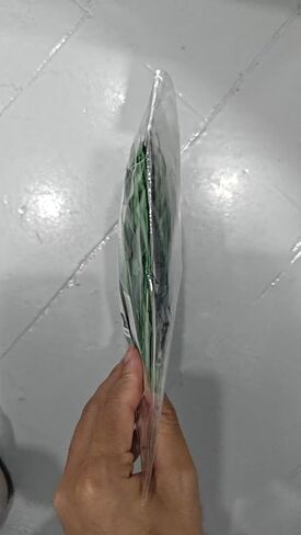 200Pcs Green Leaf Cardboard Decoration in Eight Colors, Bright Colors Leaf Stickers Spring Summer Bulletin Board Tree, DIY Crafts Suitable for Classroom Decoration in Saudi Arabia