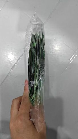 200Pcs Green Leaf Cardboard Decoration in Eight Colors, Bright Colors Leaf Stickers Spring Summer Bulletin Board Tree, DIY Crafts Suitable for Classroom Decoration in Saudi Arabia