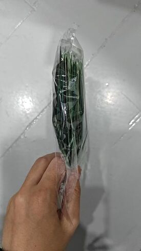 200Pcs Green Leaf Cardboard Decoration in Eight Colors, Bright Colors Leaf Stickers Spring Summer Bulletin Board Tree, DIY Crafts Suitable for Classroom Decoration in Saudi Arabia