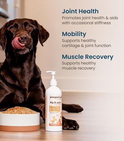 مكملات الورك والمفصل للكلاب - الجلوكوزامين مع شوندروتن قائم على النباتات ، MSM & Pumpkin - مكملات الكلاب المتقدمة للمفاصل للسلالات الكبيرة والصغيرة - الولايات المتحدة الأمريكية صنعت 16 أوقية in Kuwait