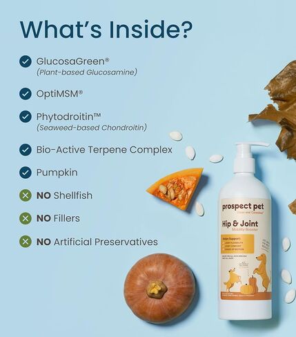مكملات الورك والمفصل للكلاب - الجلوكوزامين مع شوندروتن قائم على النباتات ، MSM & Pumpkin - مكملات الكلاب المتقدمة للمفاصل للسلالات الكبيرة والصغيرة - الولايات المتحدة الأمريكية صنعت 16 أوقية in Kuwait