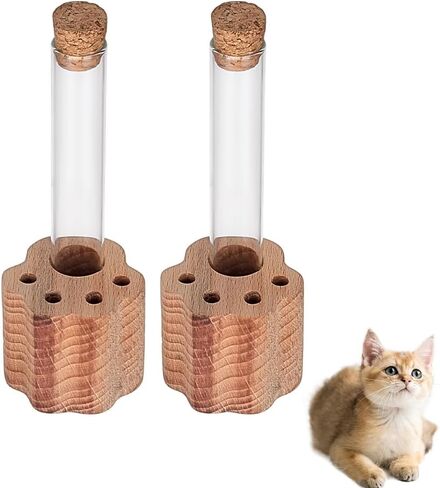 2 مجموعات Cat Whisker Holder Mini Glass Glass Jar مع قاعدة خشبية على شكل مخلب الشفافة للحيوانات الأليفة شعرة الهاوية التذكارية حاويات جرة للقطط الكلاب مجموعة عشاق الحيوانات الأليفة هدية 4 " in Kuwait