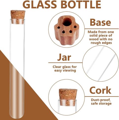 2 مجموعات Cat Whisker Holder Mini Glass Glass Jar مع قاعدة خشبية على شكل مخلب الشفافة للحيوانات الأليفة شعرة الهاوية التذكارية حاويات جرة للقطط الكلاب مجموعة عشاق الحيوانات الأليفة هدية 4 " in Kuwait