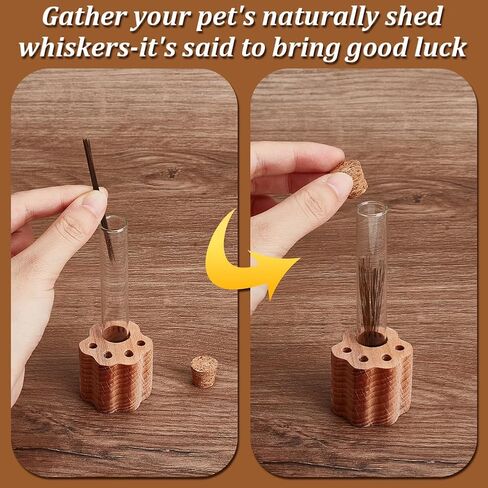 2 مجموعات Cat Whisker Holder Mini Glass Glass Jar مع قاعدة خشبية على شكل مخلب الشفافة للحيوانات الأليفة شعرة الهاوية التذكارية حاويات جرة للقطط الكلاب مجموعة عشاق الحيوانات الأليفة هدية 4 " in Kuwait