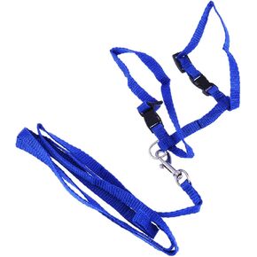 Garneck Blue Traction Rope Cat Harness Histten Leash وتسخير مستلزمات PET Lightwite in Saudi Arabia
