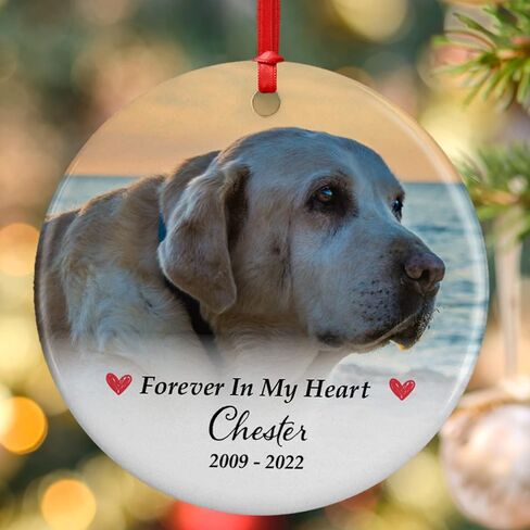 Lara Laser Works Pet Memorial Gifts ، زخرفة صور كلب شخصية ، مخصصة مع الاسم والتاريخ - إلى الأبد في قلوبنا 5 تصاميم الذاكرة المحبة ، هدايا التعاطف المتذك in Kuwait