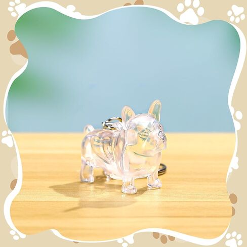 Nosiny 3 Pcs Dog Hair Collector Keychain Charm Memorial Storage Box Clear Pet Fur Holder Keyring Cute Dog Hair Keepsake Collection with Tweezers Comb Memorial Gift for Pet Lovers(Golden Retriever) in Saudi Arabia