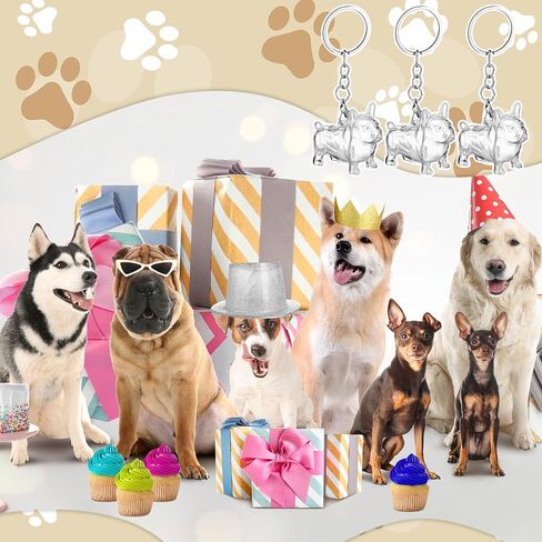 Nosiny 3 Pcs Dog Hair Collector Keychain Charm Memorial Storage Box Clear Pet Fur Holder Keyring Cute Dog Hair Keepsake Collection with Tweezers Comb Memorial Gift for Pet Lovers(Golden Retriever) in Saudi Arabia
