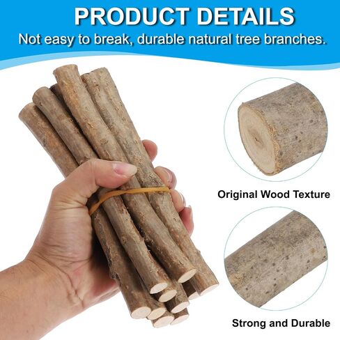 PATIKIL 10 PCS 20CM عصي سجل الخشب ، عصي الحرف الخشبية الطبيعية ، عصي الخشب المجففة فروع خشبية لدائم DIY CARPHS Excaptory Photo Photo ، لون الخشب in Saudi Arabia