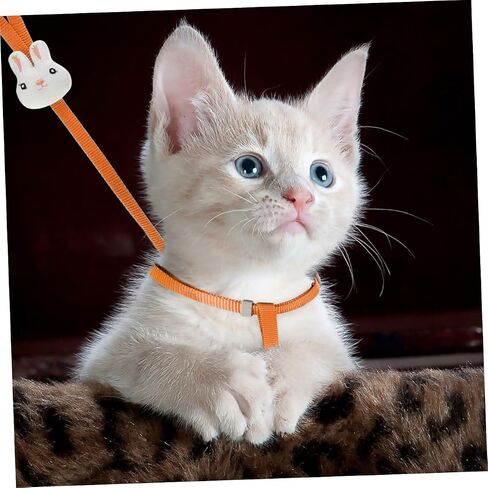 Garneck Dog and Cat Leash Cartoon Design for Puppies and Kittens for Outdoor Activities Fits Pets in Saudi Arabia