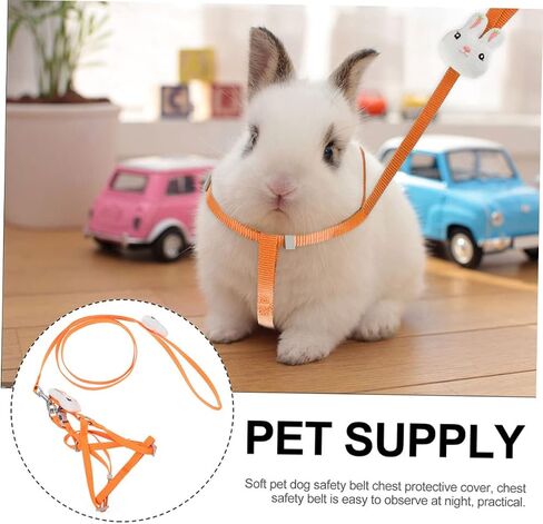 Garneck Dog and Cat Leash Cartoon Design for Puppies and Kittens for Outdoor Activities Fits Pets in Saudi Arabia