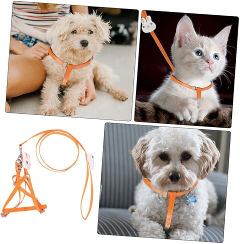Garneck Dog and Cat Leash Cartoon Design for Puppies and Kittens for Outdoor Activities Fits Pets in Saudi Arabia
